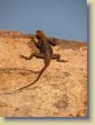 namibie-0163