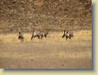 namibie-0164