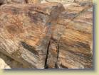 namibie-0168