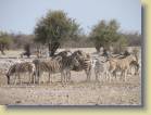 namibie-0170