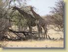 namibie-0172