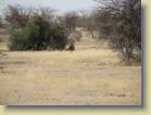 namibie-0173