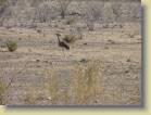 namibie-0174