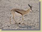 namibie-0175