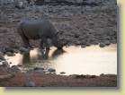 namibie-0178