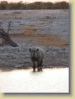 namibie-0179