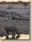 namibie-0180