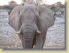 namibie-0182