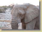 namibie-0183