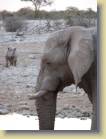 namibie-0186