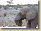 namibie-0187
