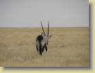 namibie-0190