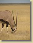 namibie-0191