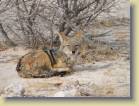 namibie-0192