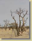 namibie-0193