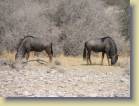 namibie-0195