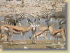 namibie-0197