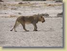 namibie-0200