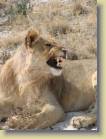 namibie-0201