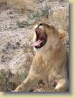 namibie-0202