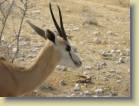 namibie-0203