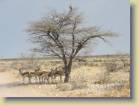namibie-0204