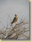 namibie-0205
