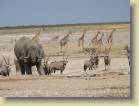 namibie-0208