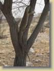 namibie-0209