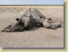 namibie-0210