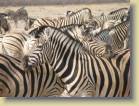 namibie-0211