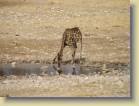 namibie-0212