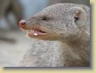 namibie-0213