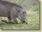 namibie-0214