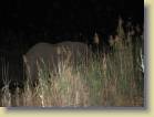 namibie-0215