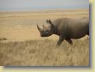 namibie-0217