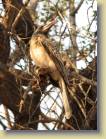 namibie-0220