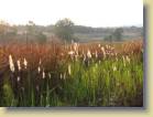 tanzania-kenia-0001
