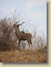 tanzania-kenia-0005