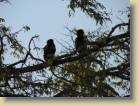 tanzania-kenia-0009