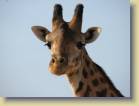 tanzania-kenia-0010