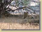 tanzania-kenia-0013
