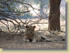 tanzania-kenia-0014