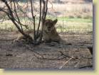 tanzania-kenia-0015