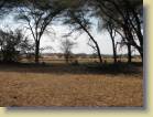 tanzania-kenia-0016