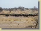 tanzania-kenia-0019