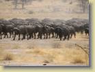tanzania-kenia-0020