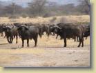 tanzania-kenia-0021