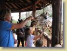 tanzania-kenia-0033