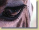 tanzania-kenia-0035